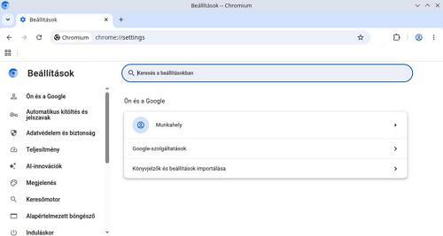 Chromium Portable - Beállítások