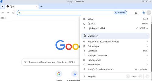 Chromium Portable - Profilok