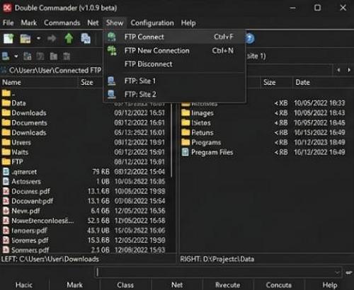 FTP kliens