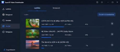 EaseUS Video Downloader - Kötegelt műveletek