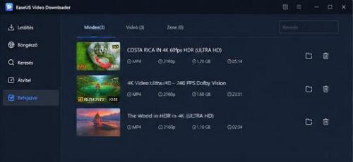 EaseUS Video Downloader - Médiafájlok
