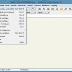 Faststone Image Viewer portable 7.8