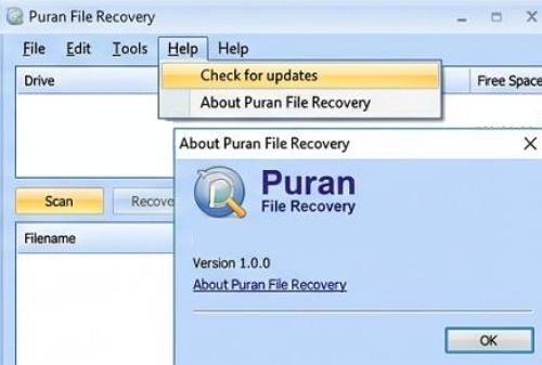 Puran File Recovery - névjegy
