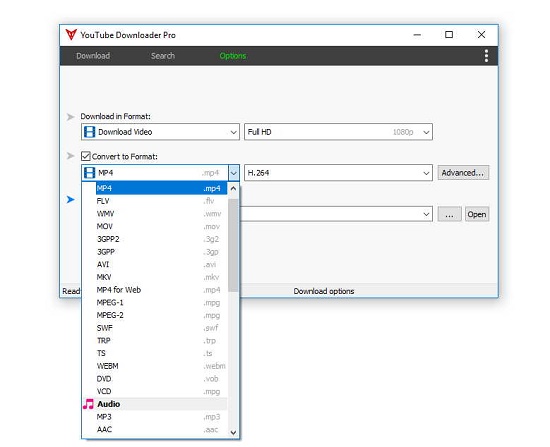 YouTube Downloader Pro