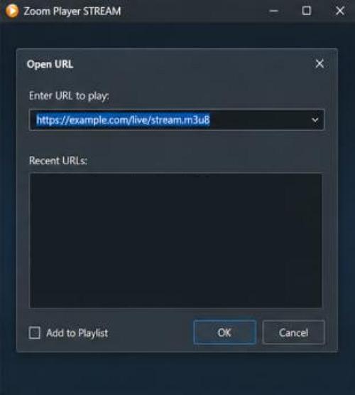 Zoom Player STREAM - videók lejátszása